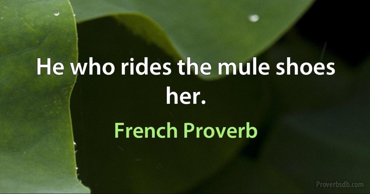 He who rides the mule shoes her. (French Proverb)