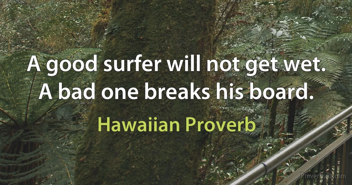 A good surfer will not get wet. A bad one breaks his board. (Hawaiian Proverb)