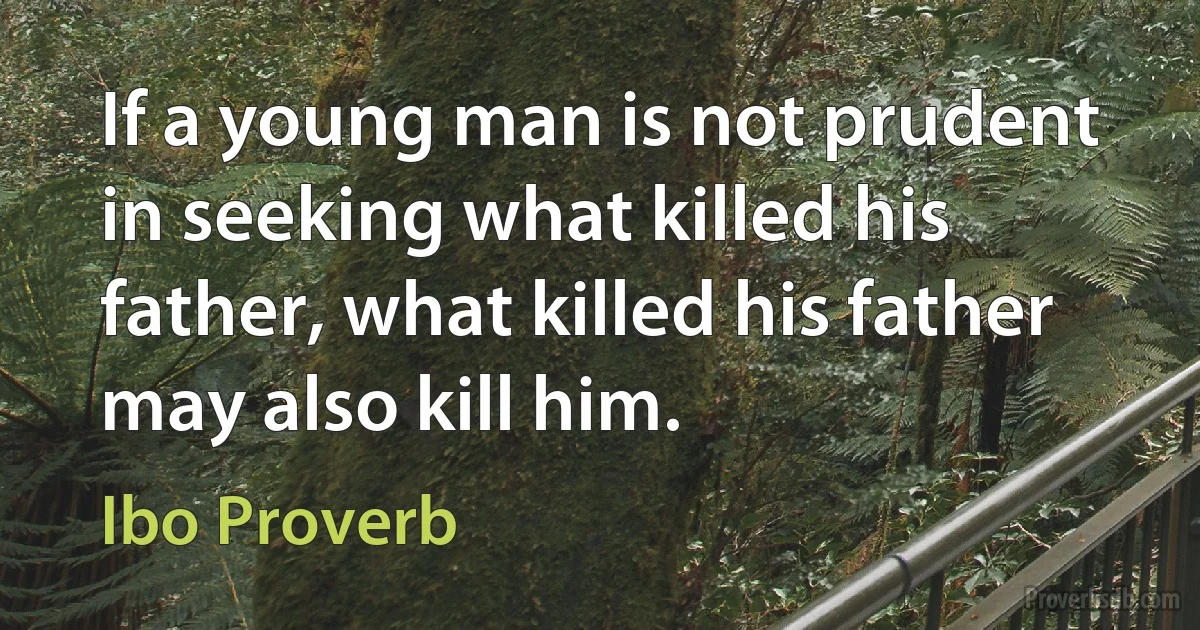 If a young man is not prudent in seeking what killed his father, what killed his father may also kill him. (Ibo Proverb)