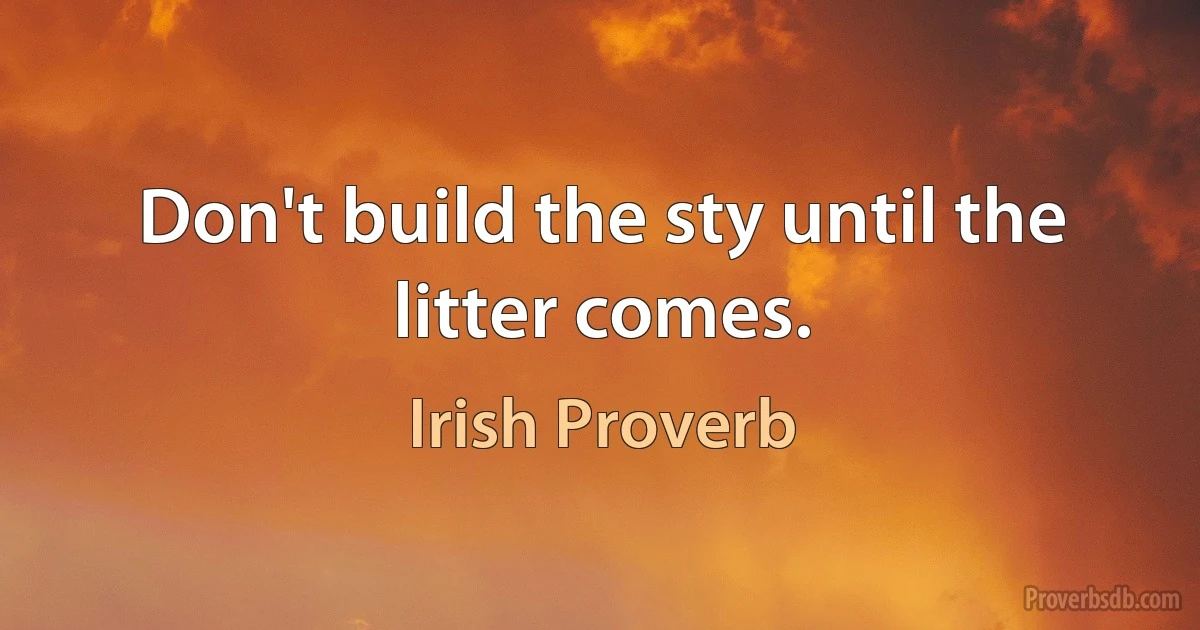 Don't build the sty until the litter comes. (Irish Proverb)