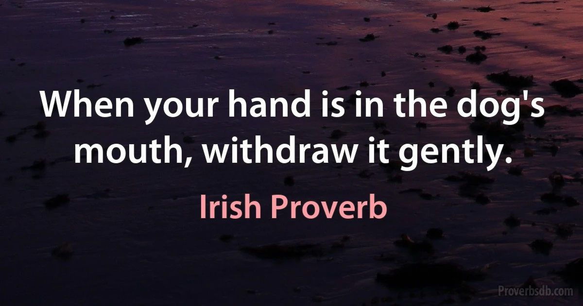 When your hand is in the dog's mouth, withdraw it gently. (Irish Proverb)