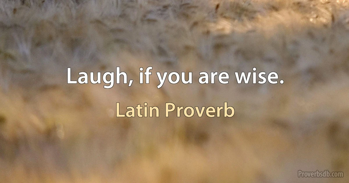 Laugh, if you are wise. (Latin Proverb)