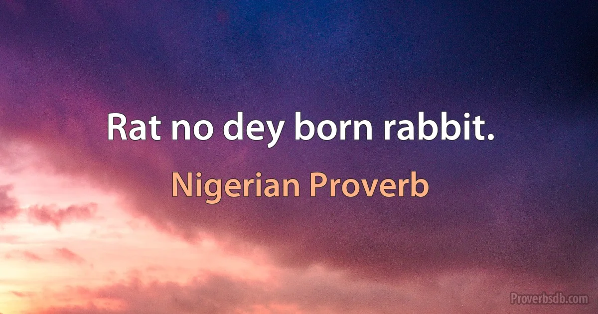 Rat no dey born rabbit. (Nigerian Proverb)