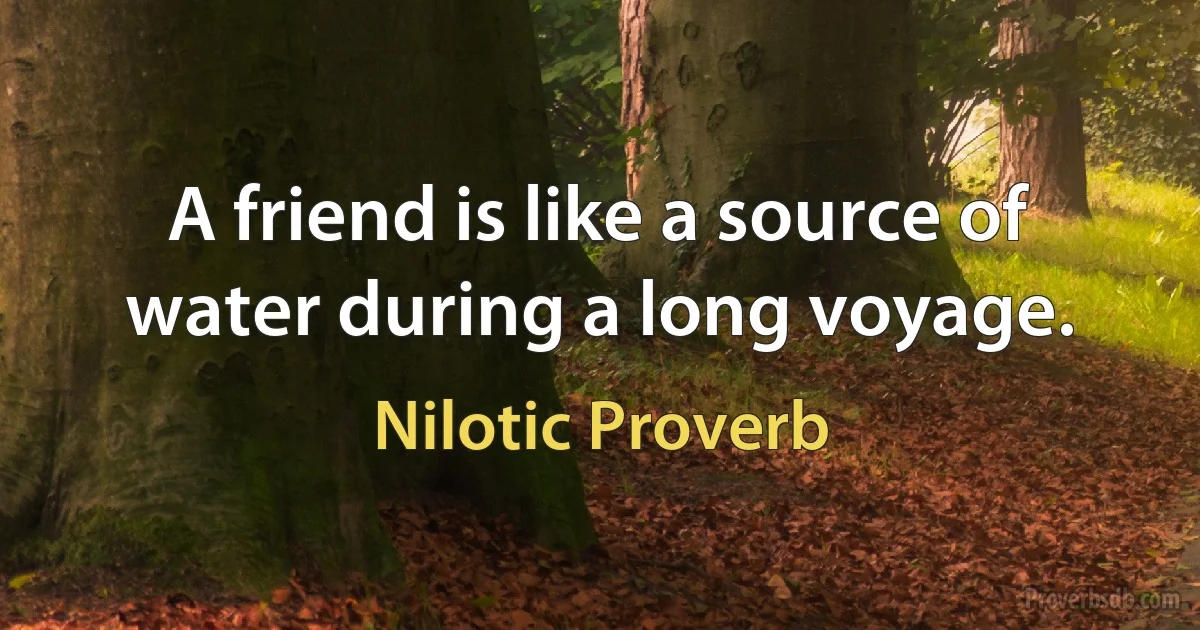 A friend is like a source of water during a long voyage. (Nilotic Proverb)