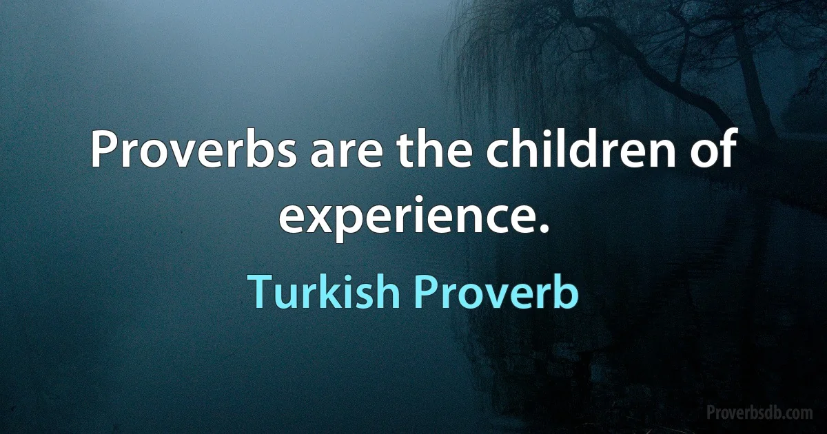 Proverbs are the children of experience. (Turkish Proverb)