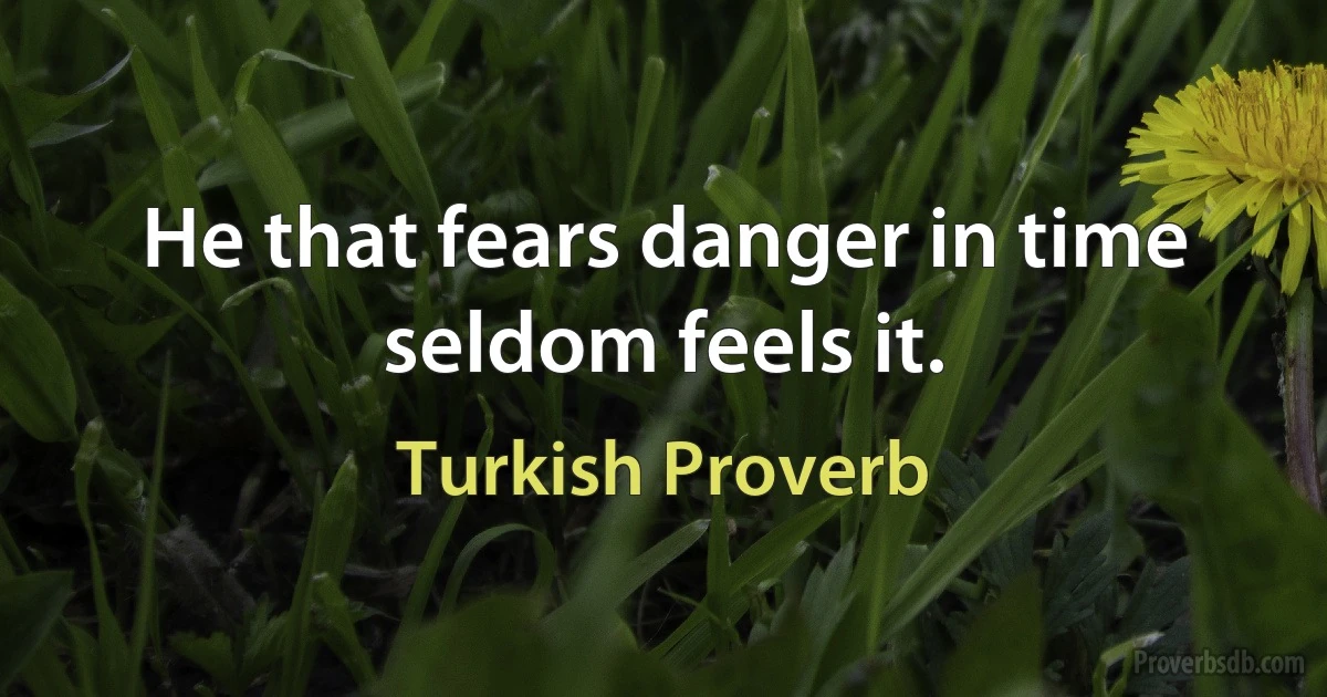 He that fears danger in time seldom feels it. (Turkish Proverb)