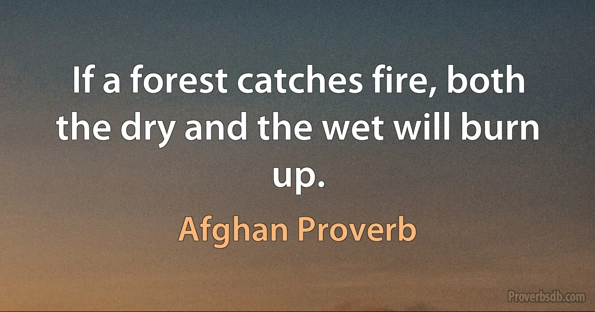 If a forest catches fire, both the dry and the wet will burn up. (Afghan Proverb)