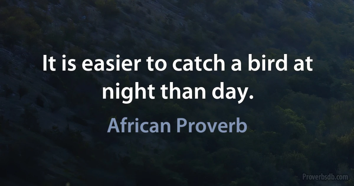 It is easier to catch a bird at night than day. (African Proverb)