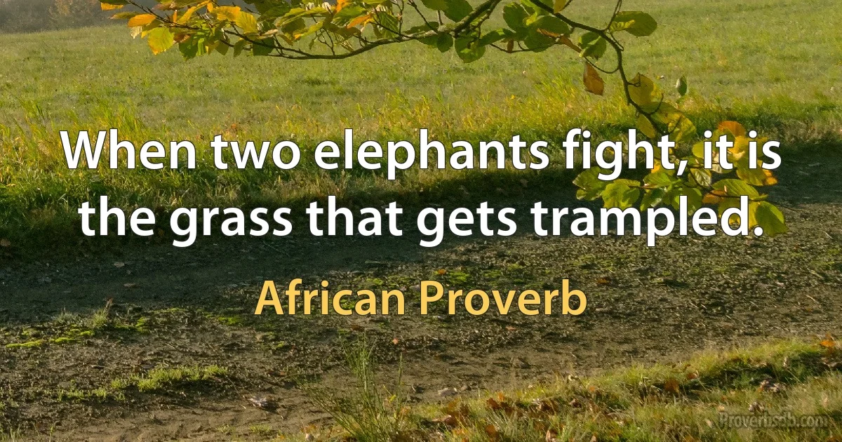 When two elephants fight, it is the grass that gets trampled. (African Proverb)