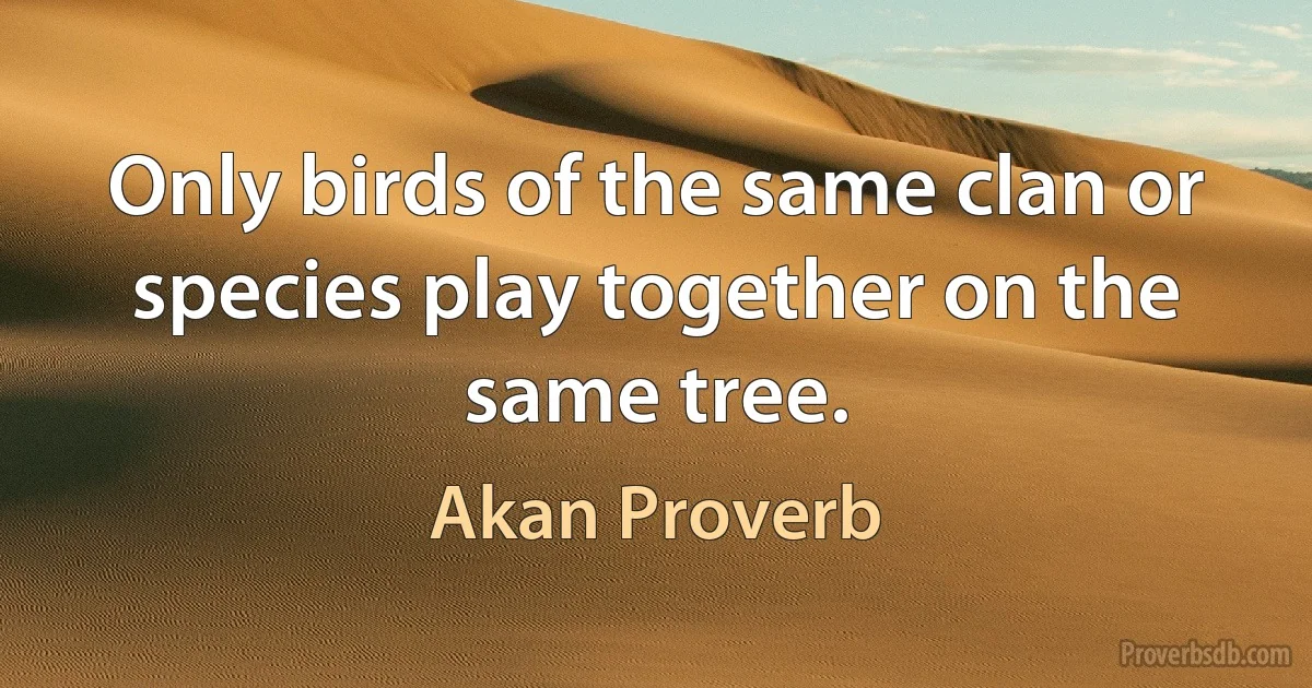 Only birds of the same clan or species play together on the same tree. (Akan Proverb)