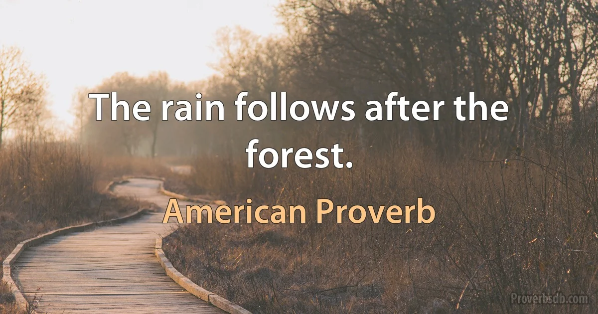 The rain follows after the forest. (American Proverb)