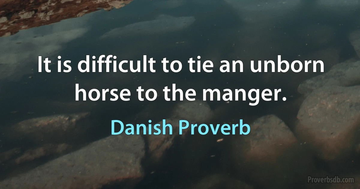 It is difficult to tie an unborn horse to the manger. (Danish Proverb)