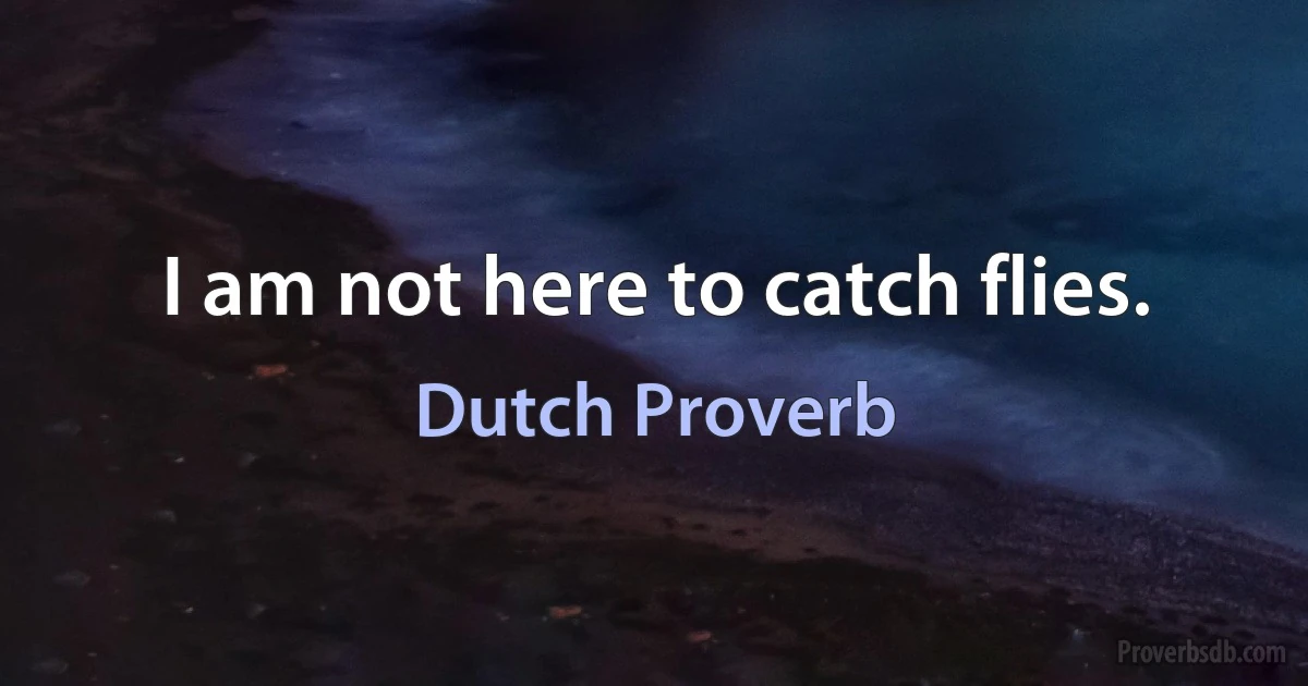 I am not here to catch flies. (Dutch Proverb)