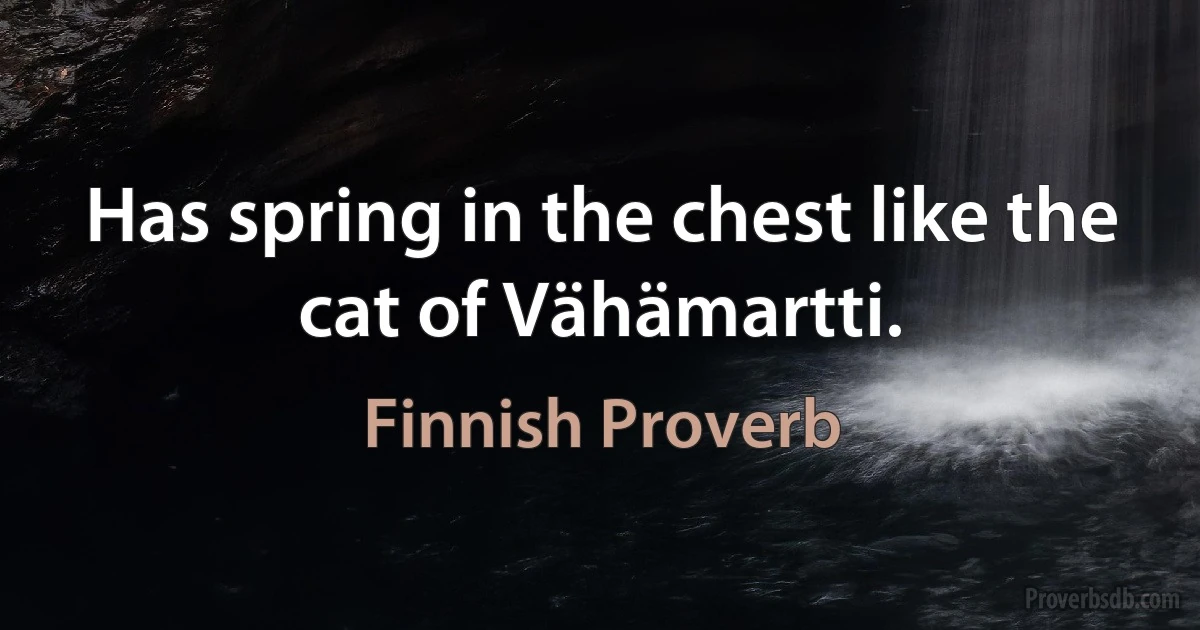 Has spring in the chest like the cat of Vähämartti. (Finnish Proverb)