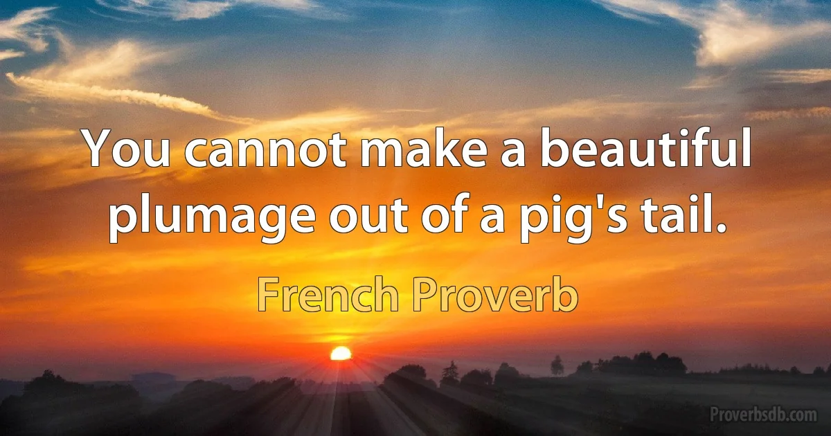 You cannot make a beautiful plumage out of a pig's tail. (French Proverb)