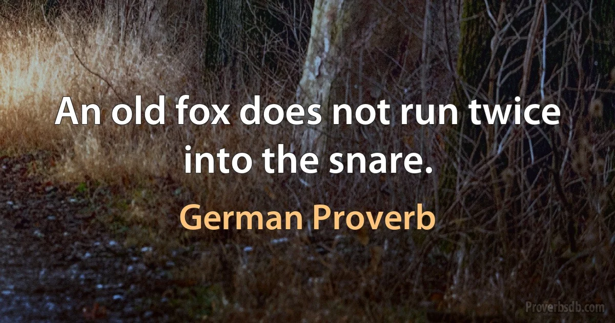 An old fox does not run twice into the snare. (German Proverb)