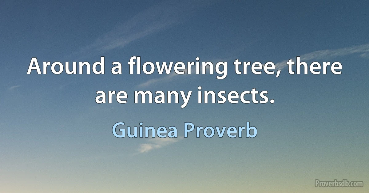 Around a flowering tree, there are many insects. (Guinea Proverb)