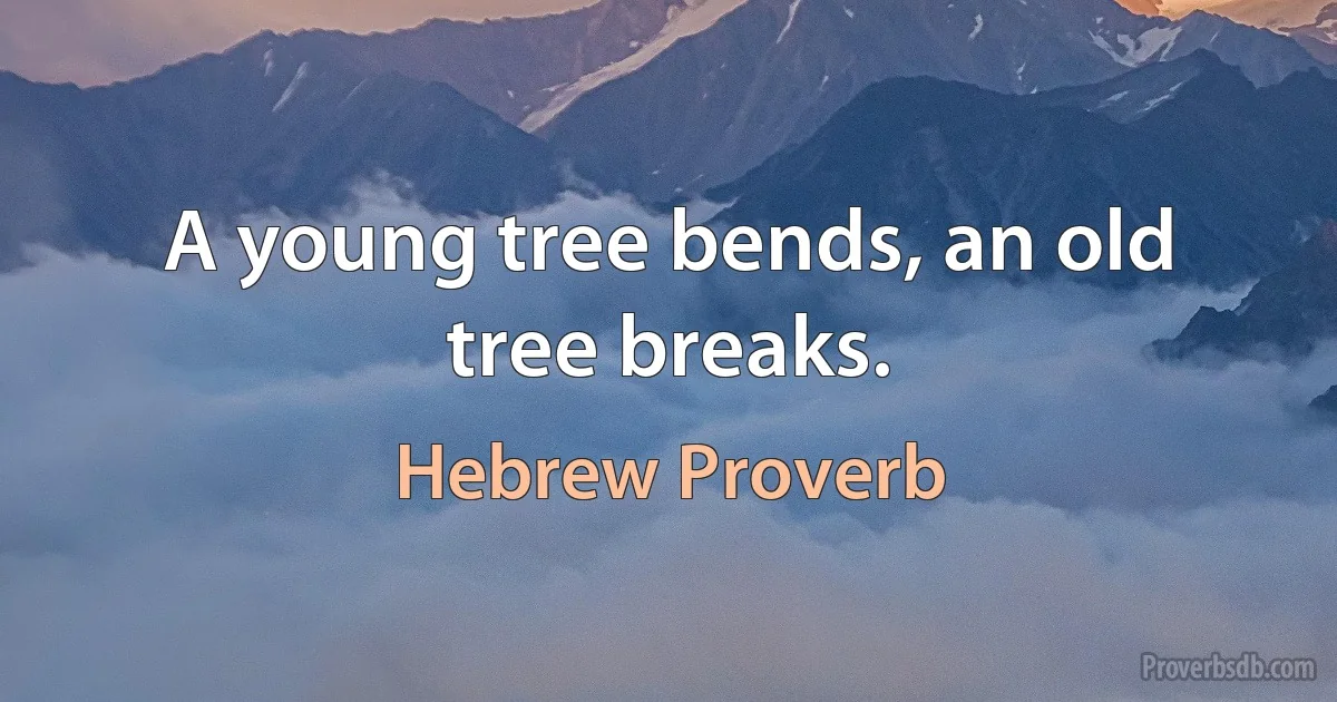 A young tree bends, an old tree breaks. (Hebrew Proverb)