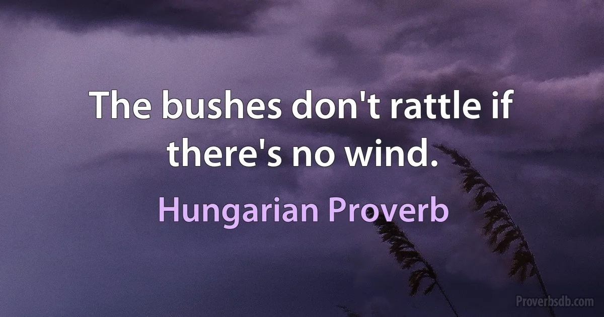 The bushes don't rattle if there's no wind. (Hungarian Proverb)