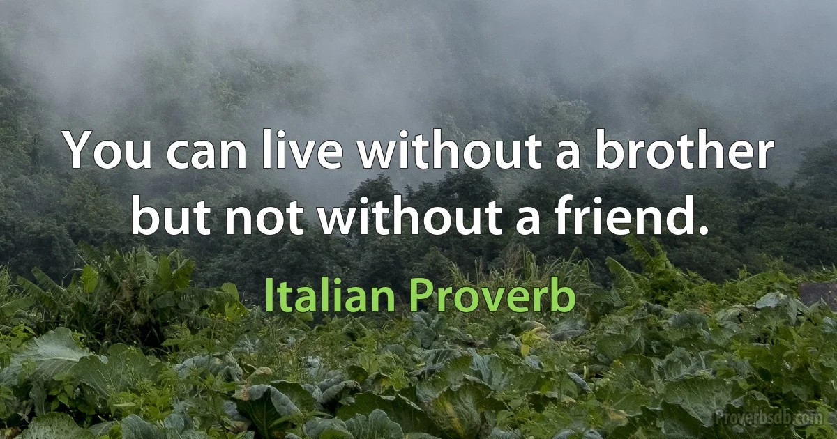 You can live without a brother but not without a friend. (Italian Proverb)