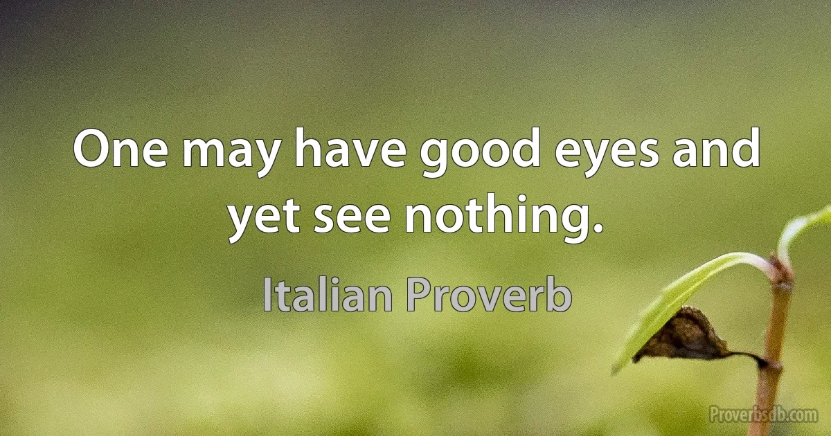 One may have good eyes and yet see nothing. (Italian Proverb)