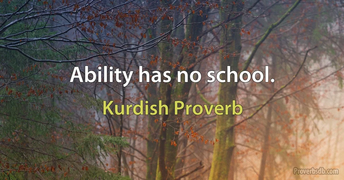 Ability has no school. (Kurdish Proverb)