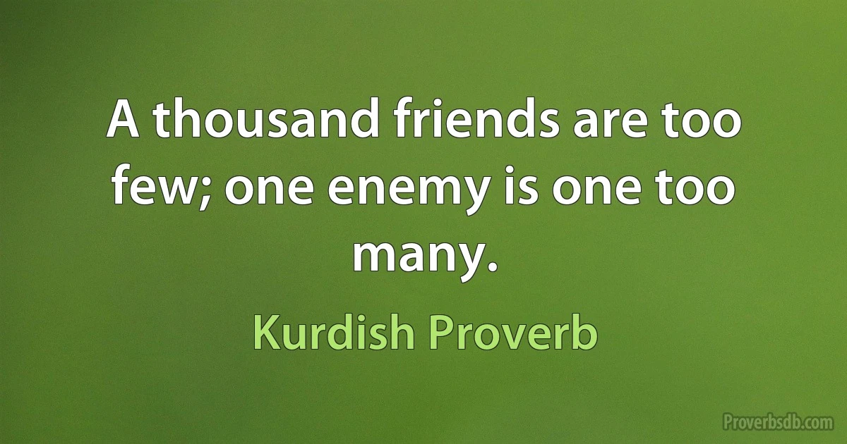 A thousand friends are too few; one enemy is one too many. (Kurdish Proverb)