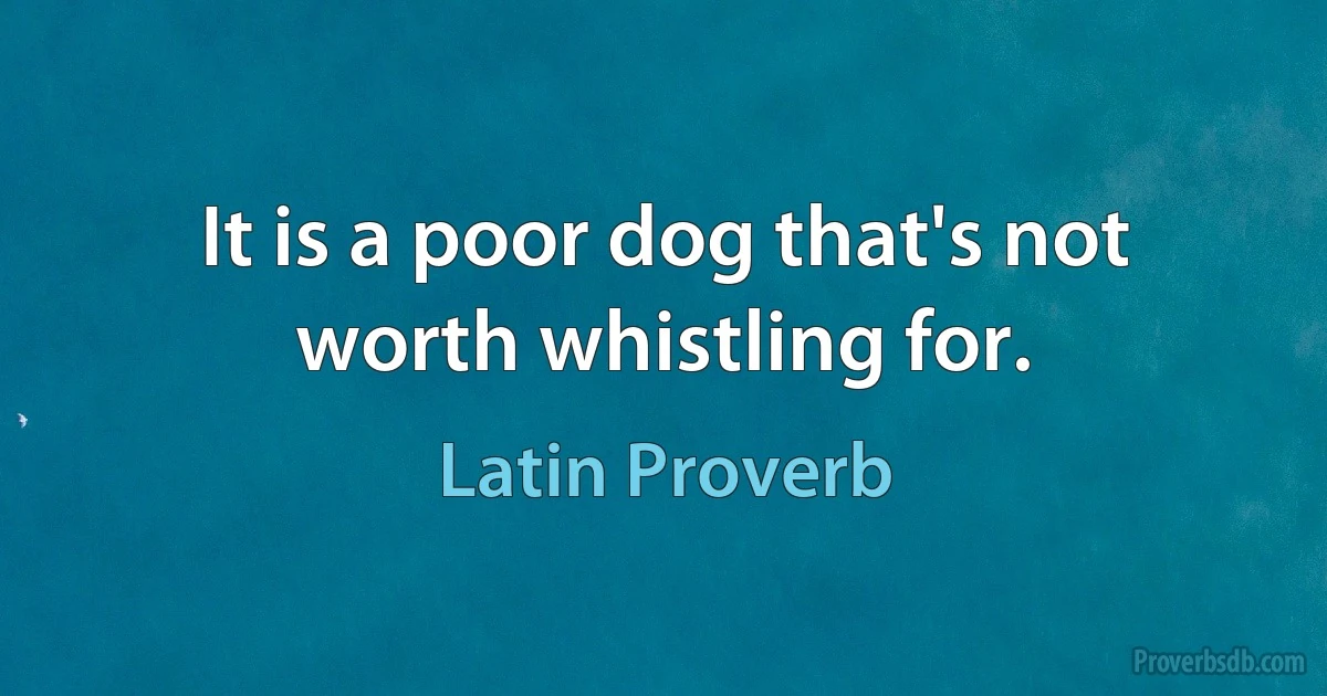 It is a poor dog that's not worth whistling for. (Latin Proverb)