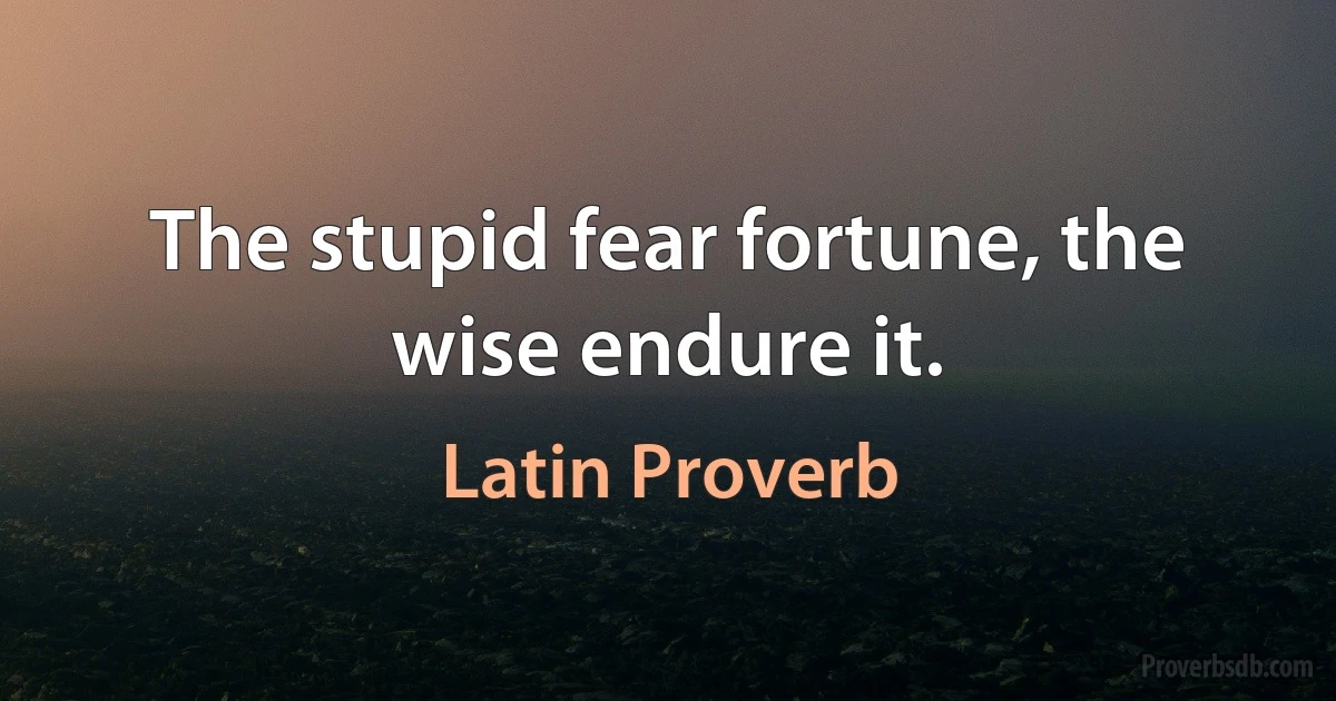 The stupid fear fortune, the wise endure it. (Latin Proverb)