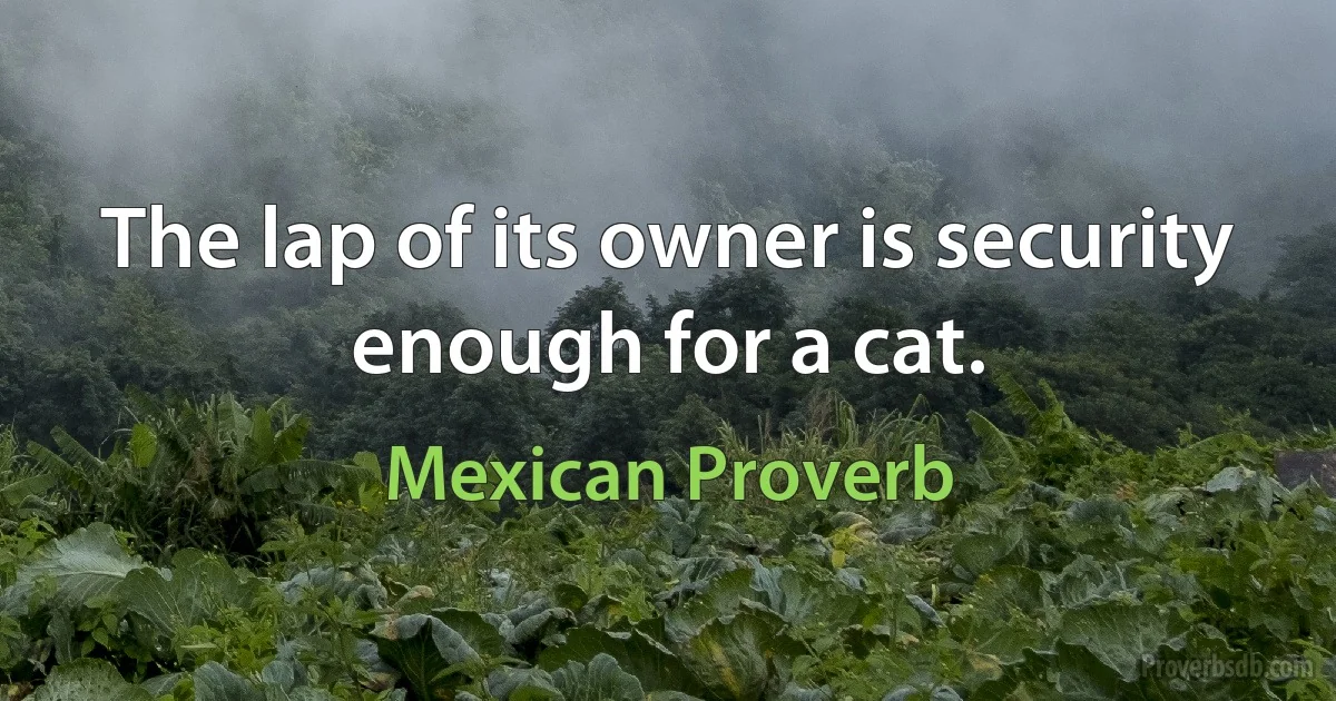 The lap of its owner is security enough for a cat. (Mexican Proverb)