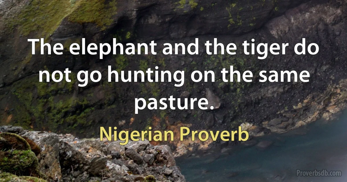 The elephant and the tiger do not go hunting on the same pasture. (Nigerian Proverb)