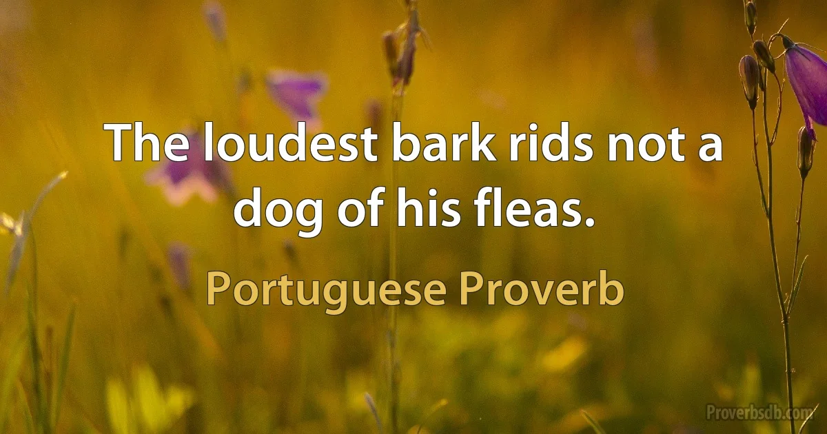 The loudest bark rids not a dog of his fleas. (Portuguese Proverb)