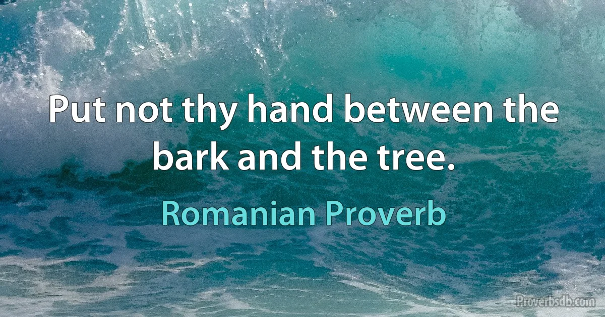 Put not thy hand between the bark and the tree. (Romanian Proverb)