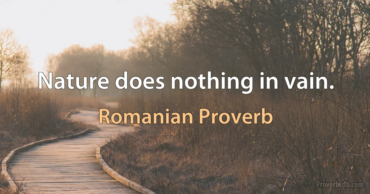 Nature does nothing in vain. (Romanian Proverb)