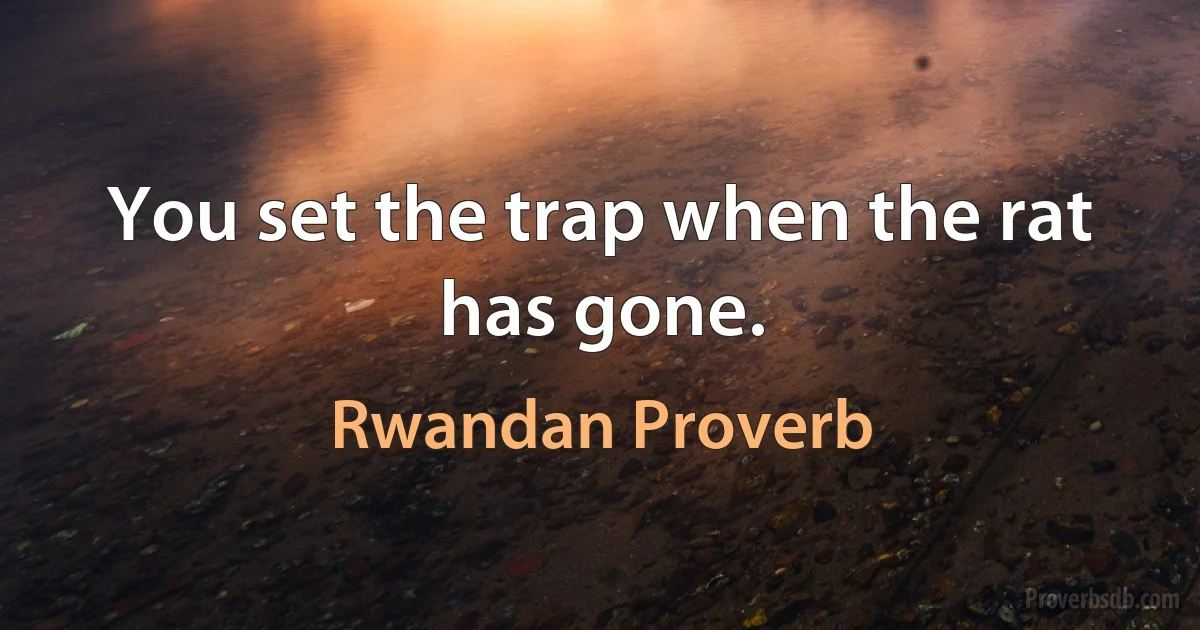 You set the trap when the rat has gone. (Rwandan Proverb)