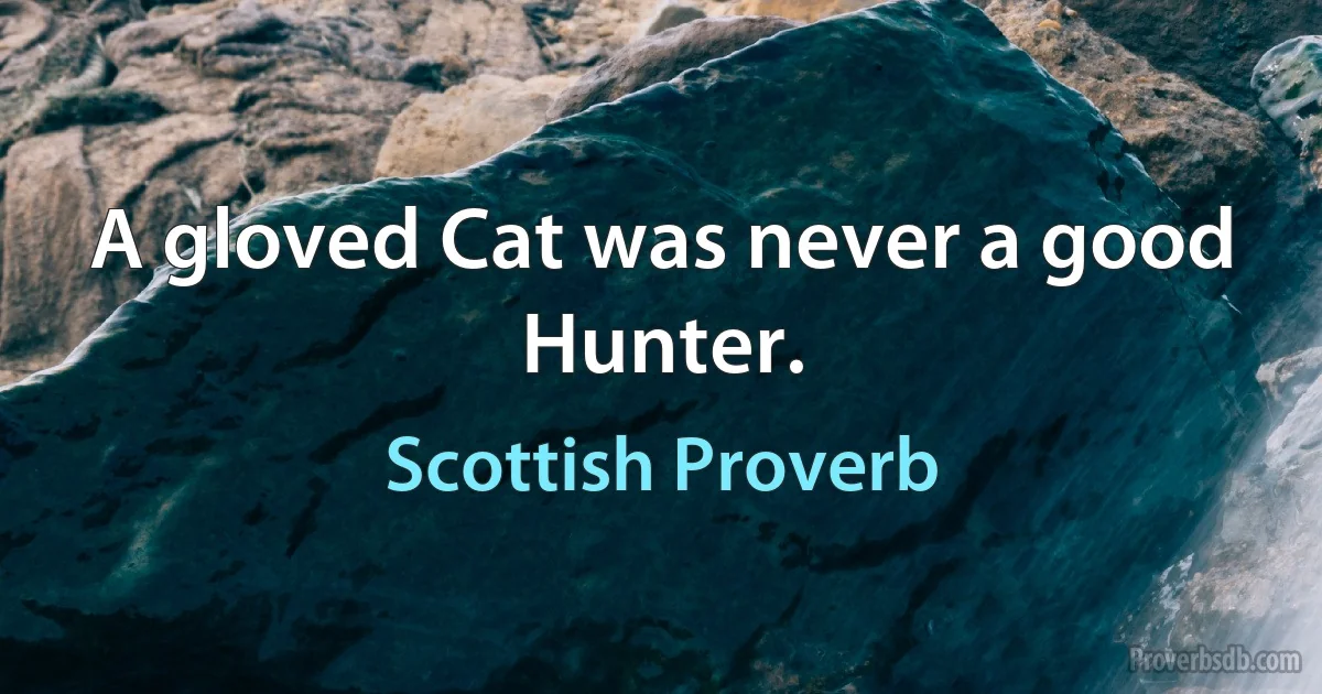 A gloved Cat was never a good Hunter. (Scottish Proverb)