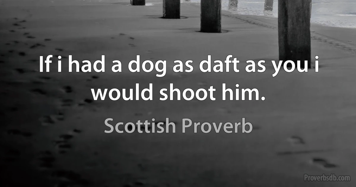 If i had a dog as daft as you i would shoot him. (Scottish Proverb)