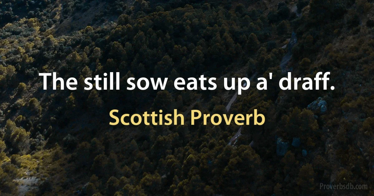 The still sow eats up a' draff. (Scottish Proverb)