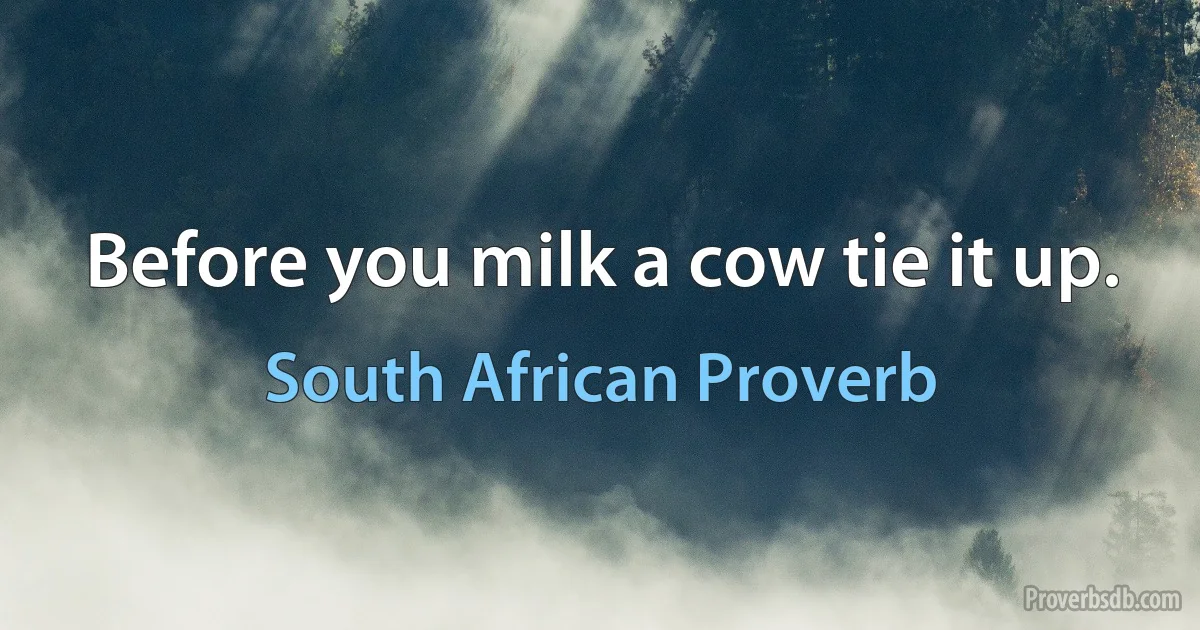 Before you milk a cow tie it up. (South African Proverb)