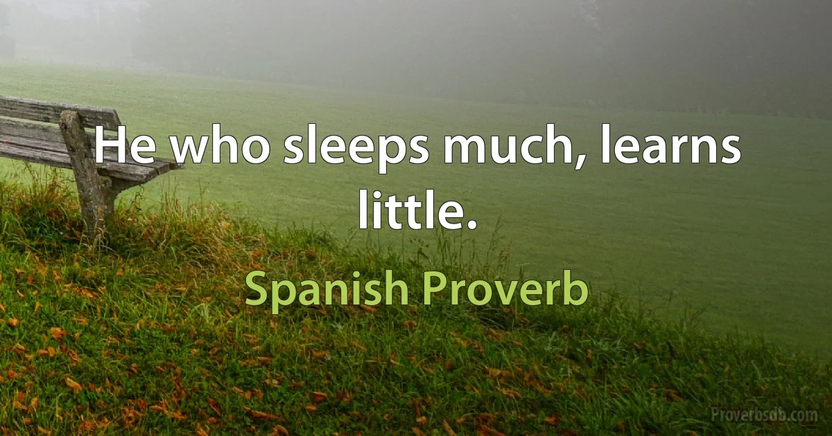 He who sleeps much, learns little. (Spanish Proverb)