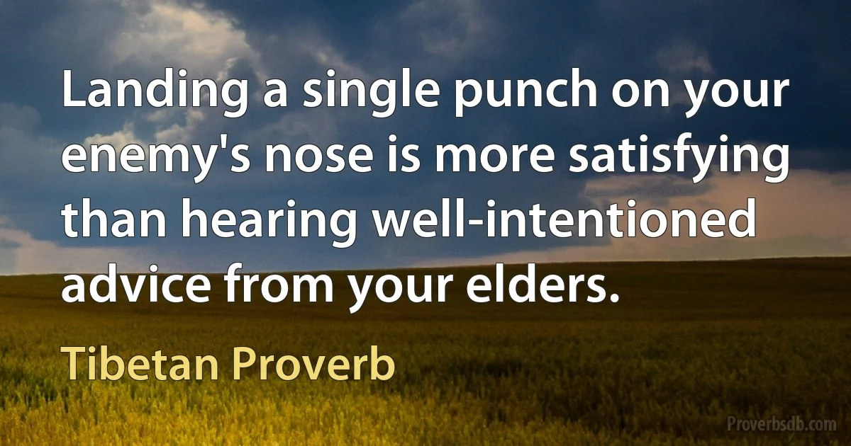 Landing a single punch on your enemy's nose is more satisfying than hearing well-intentioned advice from your elders. (Tibetan Proverb)