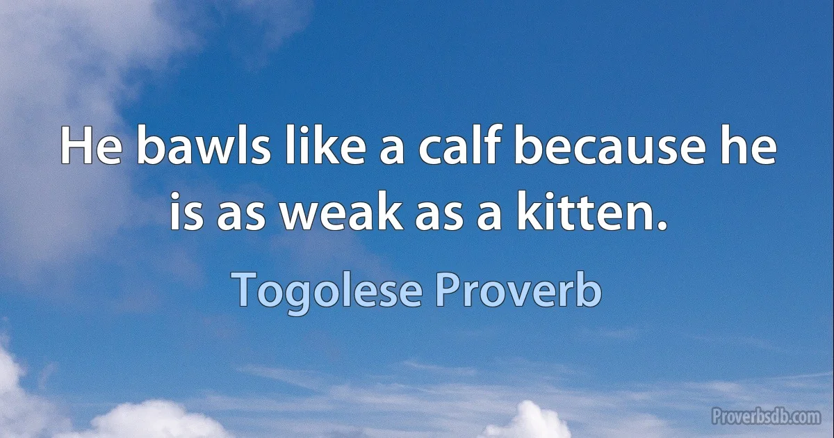 He bawls like a calf because he is as weak as a kitten. (Togolese Proverb)