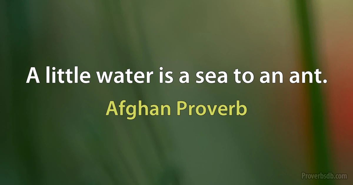 A little water is a sea to an ant. (Afghan Proverb)