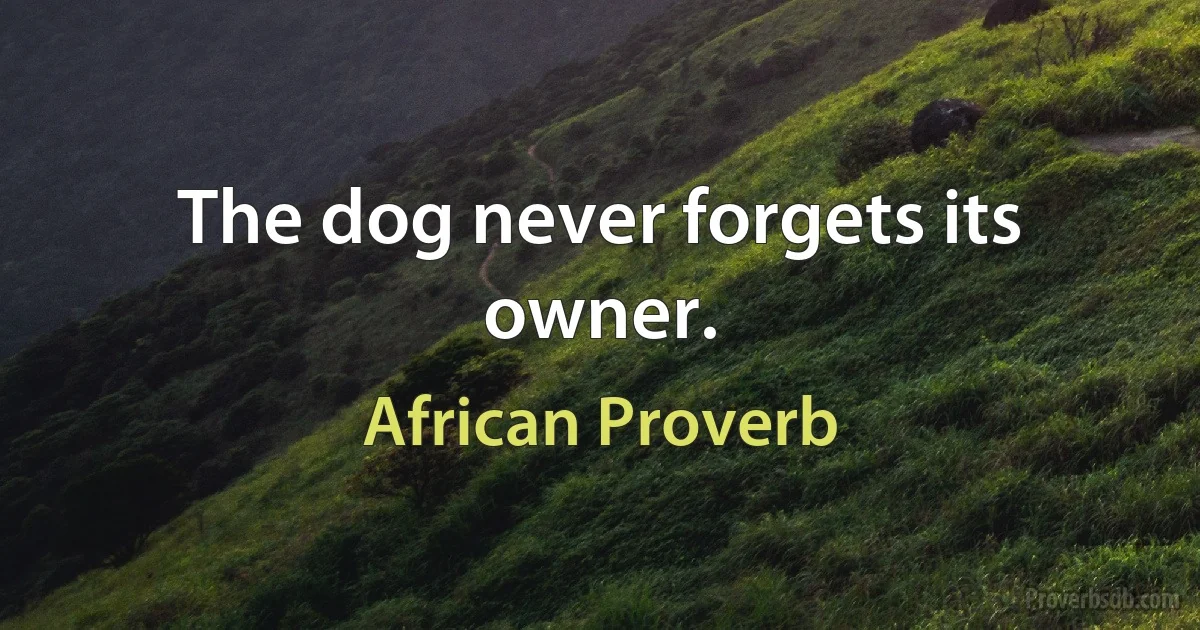 The dog never forgets its owner. (African Proverb)