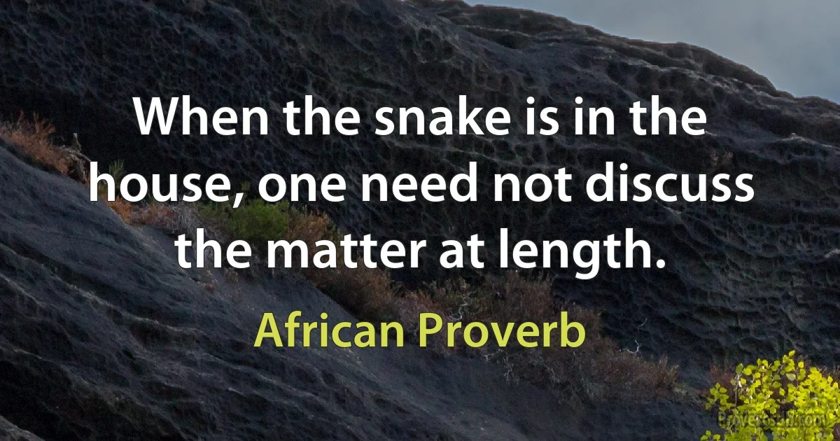 When the snake is in the house, one need not discuss the matter at length. (African Proverb)