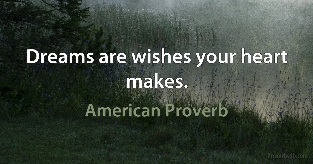 Dreams are wishes your heart makes. (American Proverb)