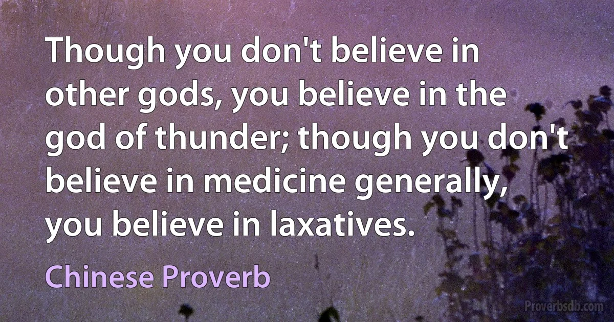 Though you don't believe in other gods, you believe in the god of thunder; though you don't believe in medicine generally, you believe in laxatives. (Chinese Proverb)