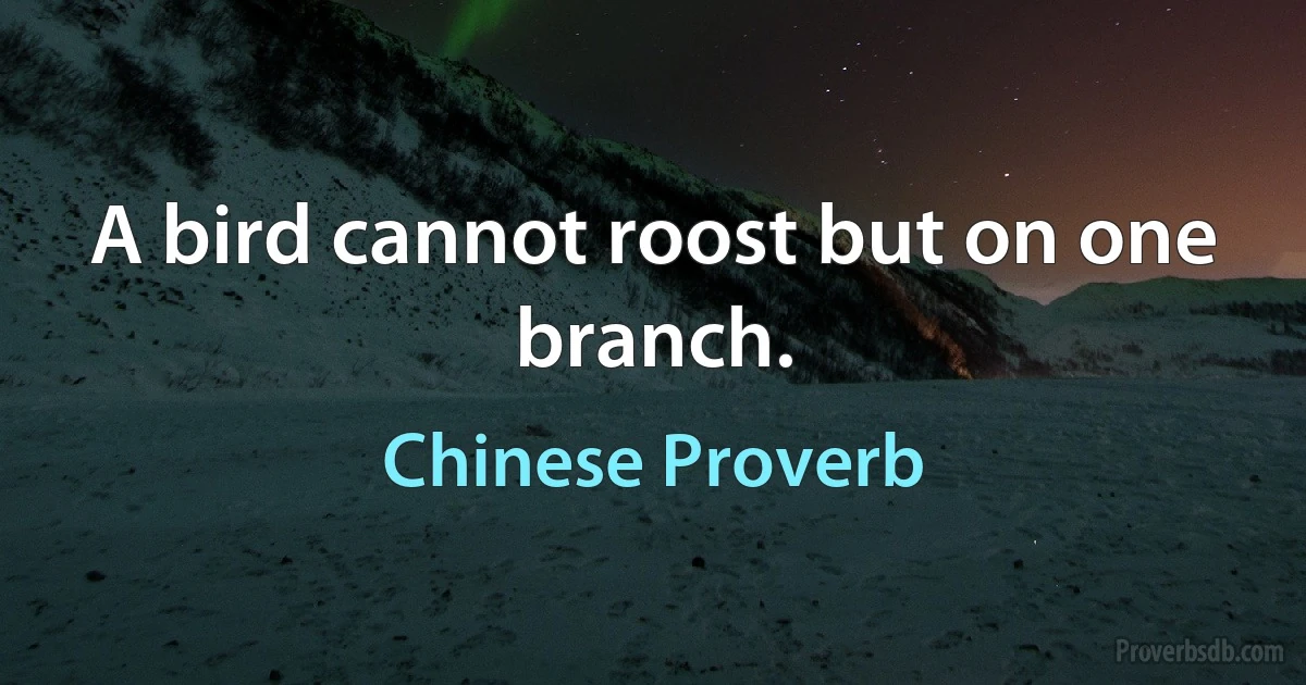 A bird cannot roost but on one branch. (Chinese Proverb)