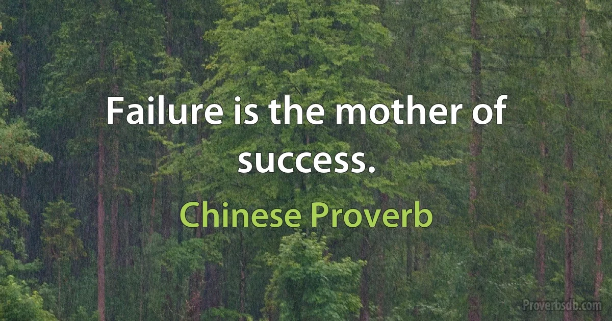 Failure is the mother of success. (Chinese Proverb)