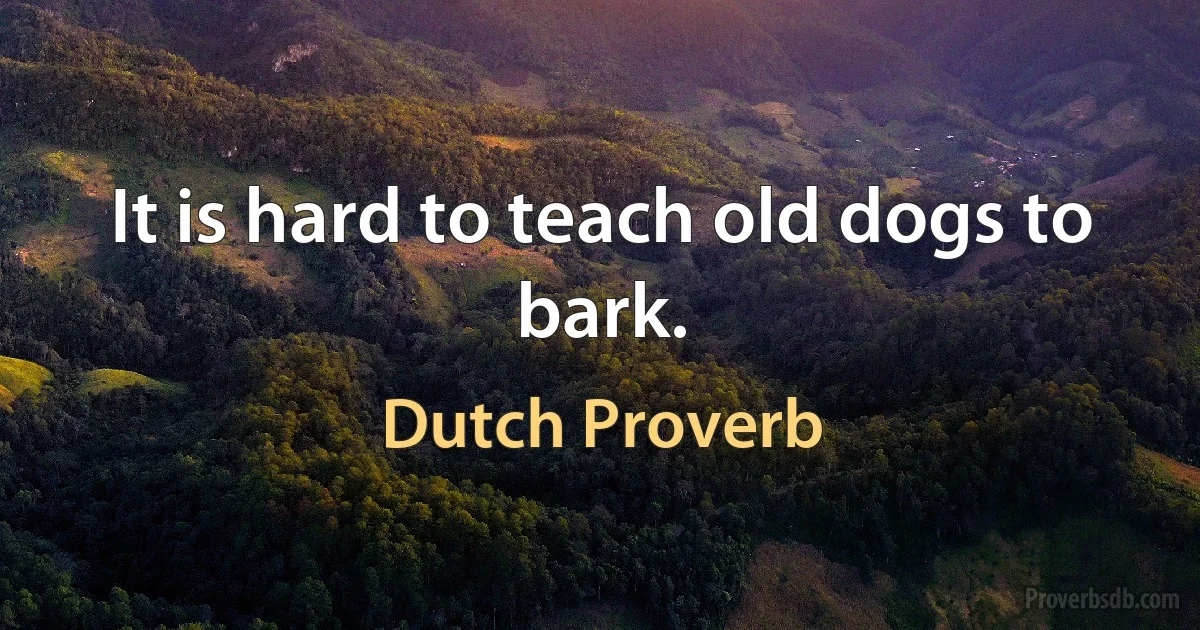 It is hard to teach old dogs to bark. (Dutch Proverb)